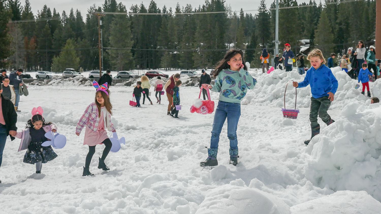 Egg Hunt Snow Hunting
