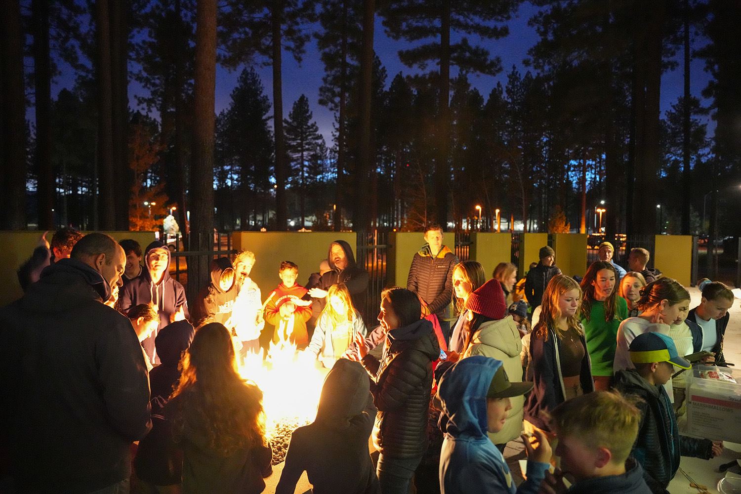 Outdoor Patio Fire Pit Pool