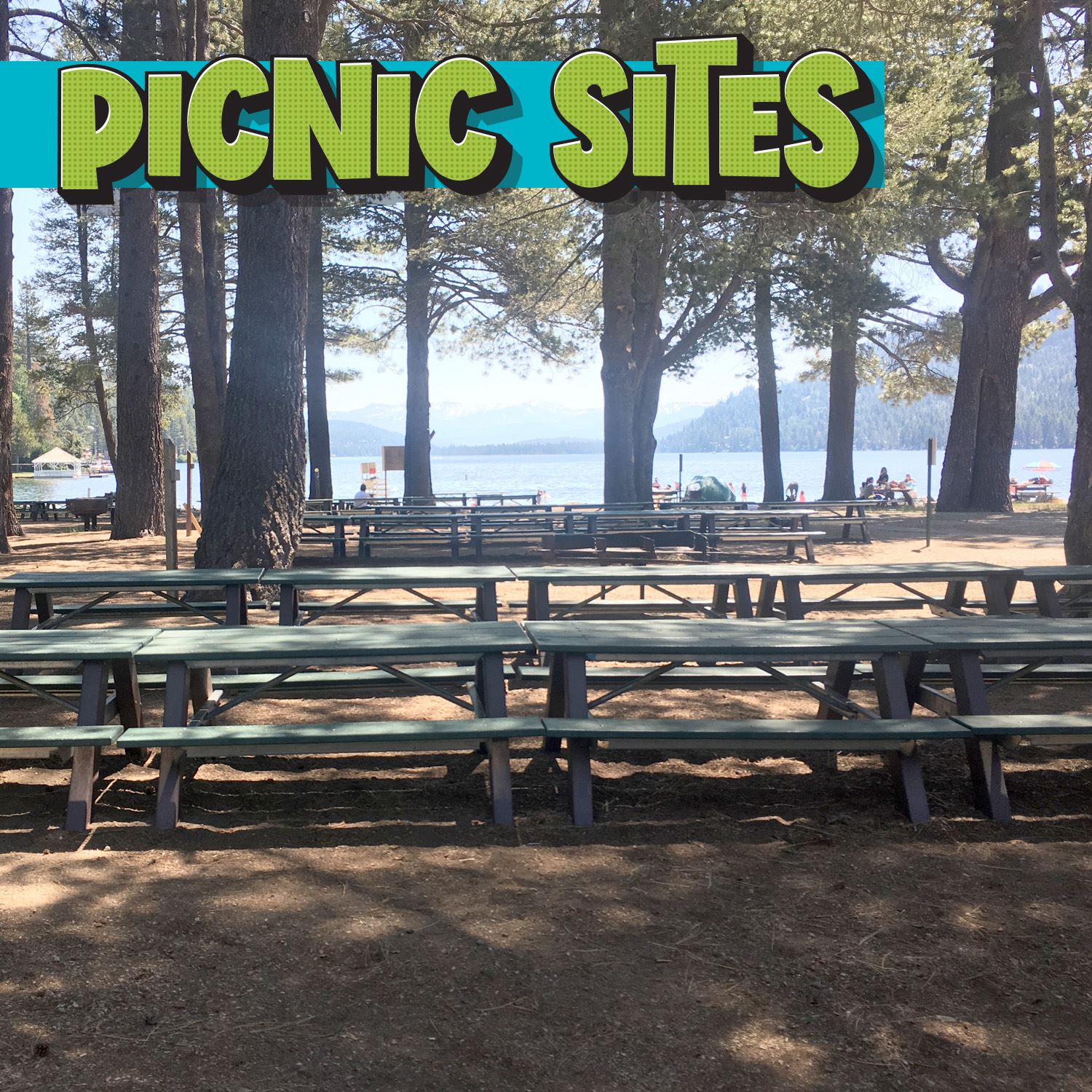 Rental Page Picnic Sites Square